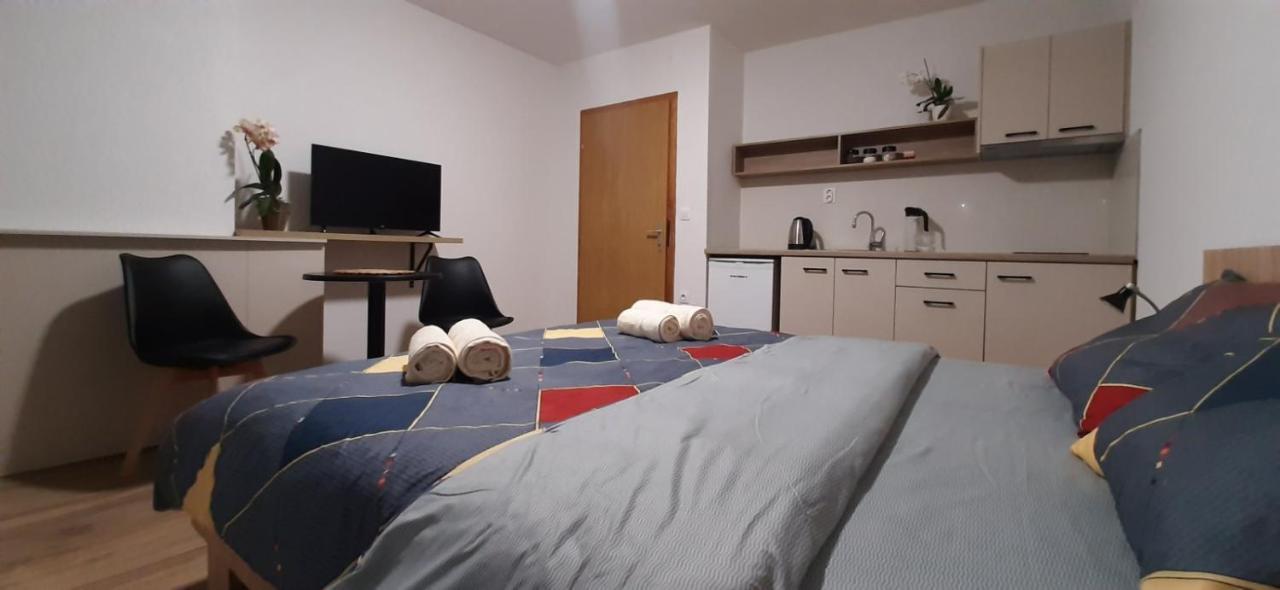 Snegar Apartments Ohrid Exterior photo