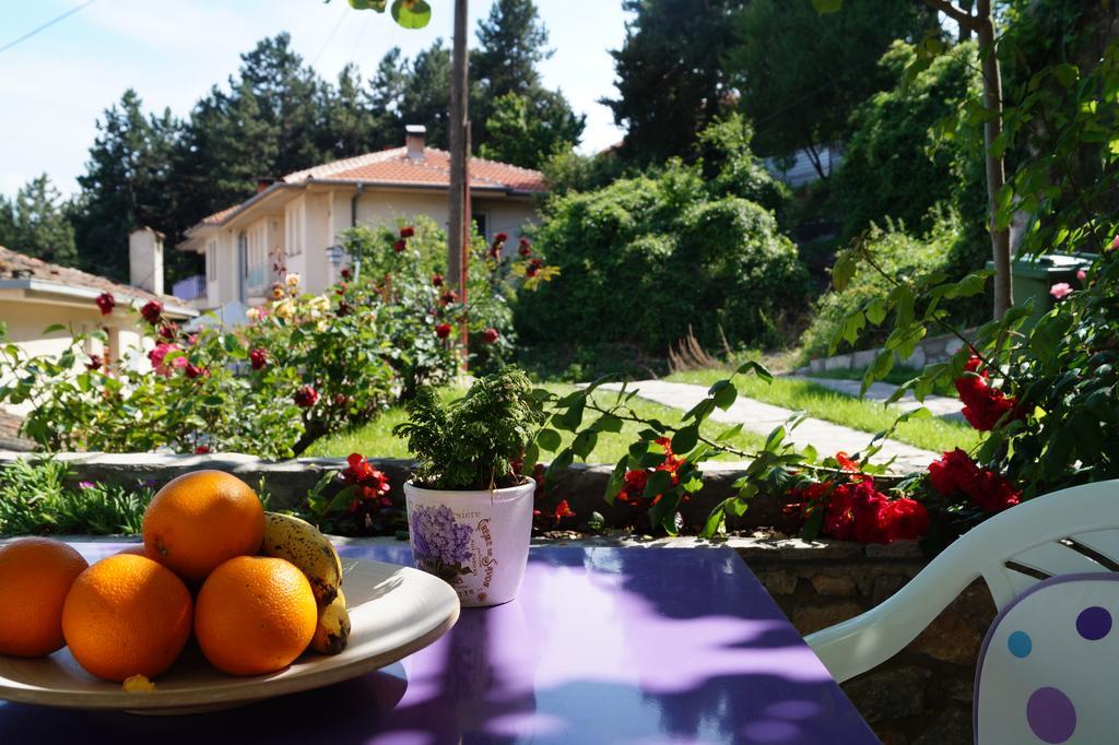 Snegar Apartments Ohrid Exterior photo