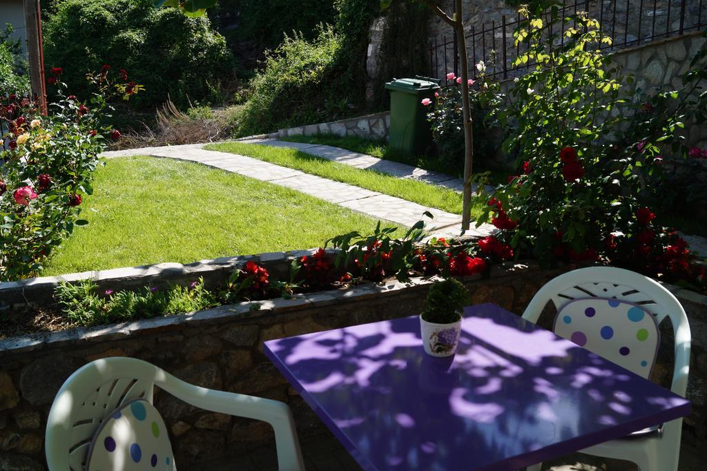Snegar Apartments Ohrid Exterior photo